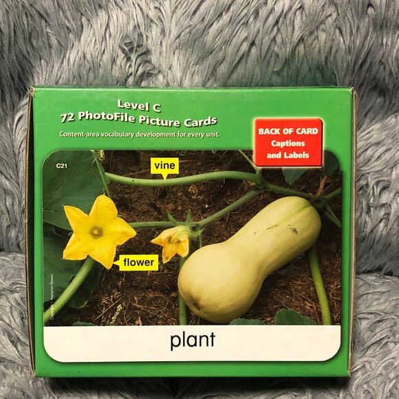 AVENUES C: PHOTOFILE PICTURE CARDS By Hampton-Brown - Picture 1 of 4